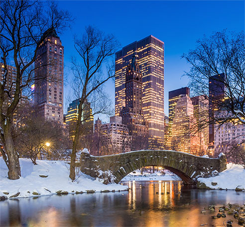 New york city in the winter